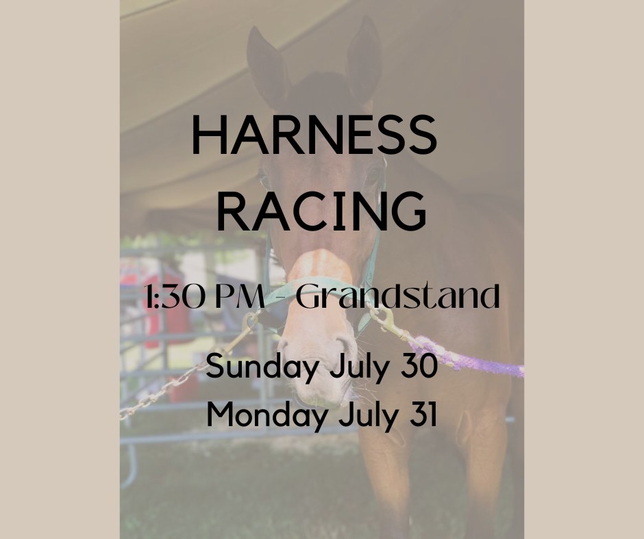 harness racnig